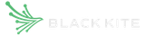 Black Kite